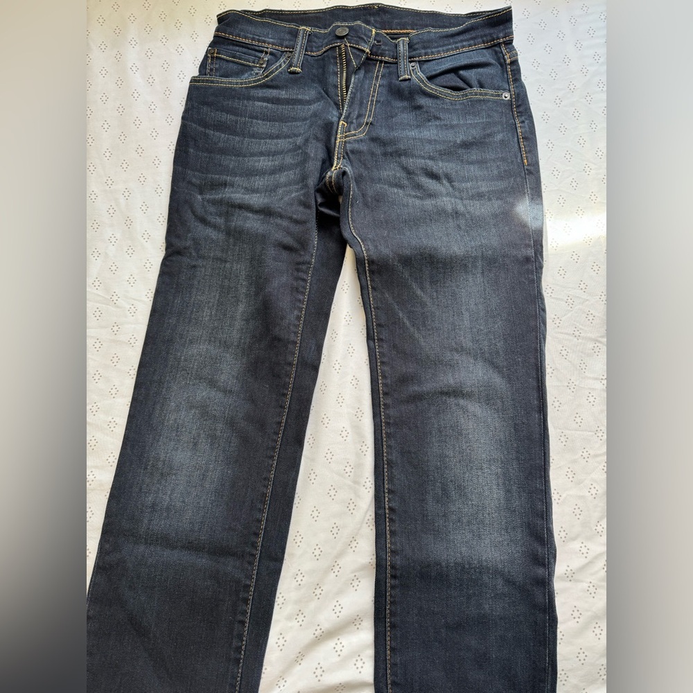Levis straight fit pant (28 X 34)
